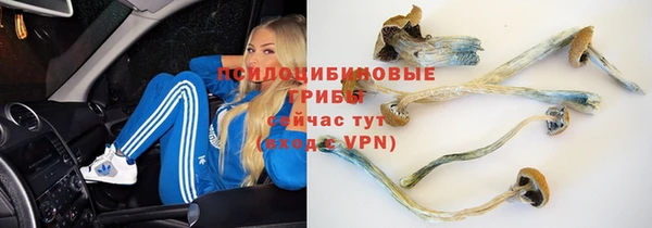 прущая мука Елизово