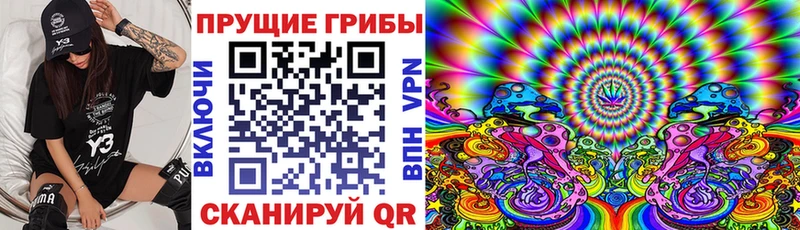 Галлюциногенные грибы Psilocybine cubensis  Купить где  Заринск 